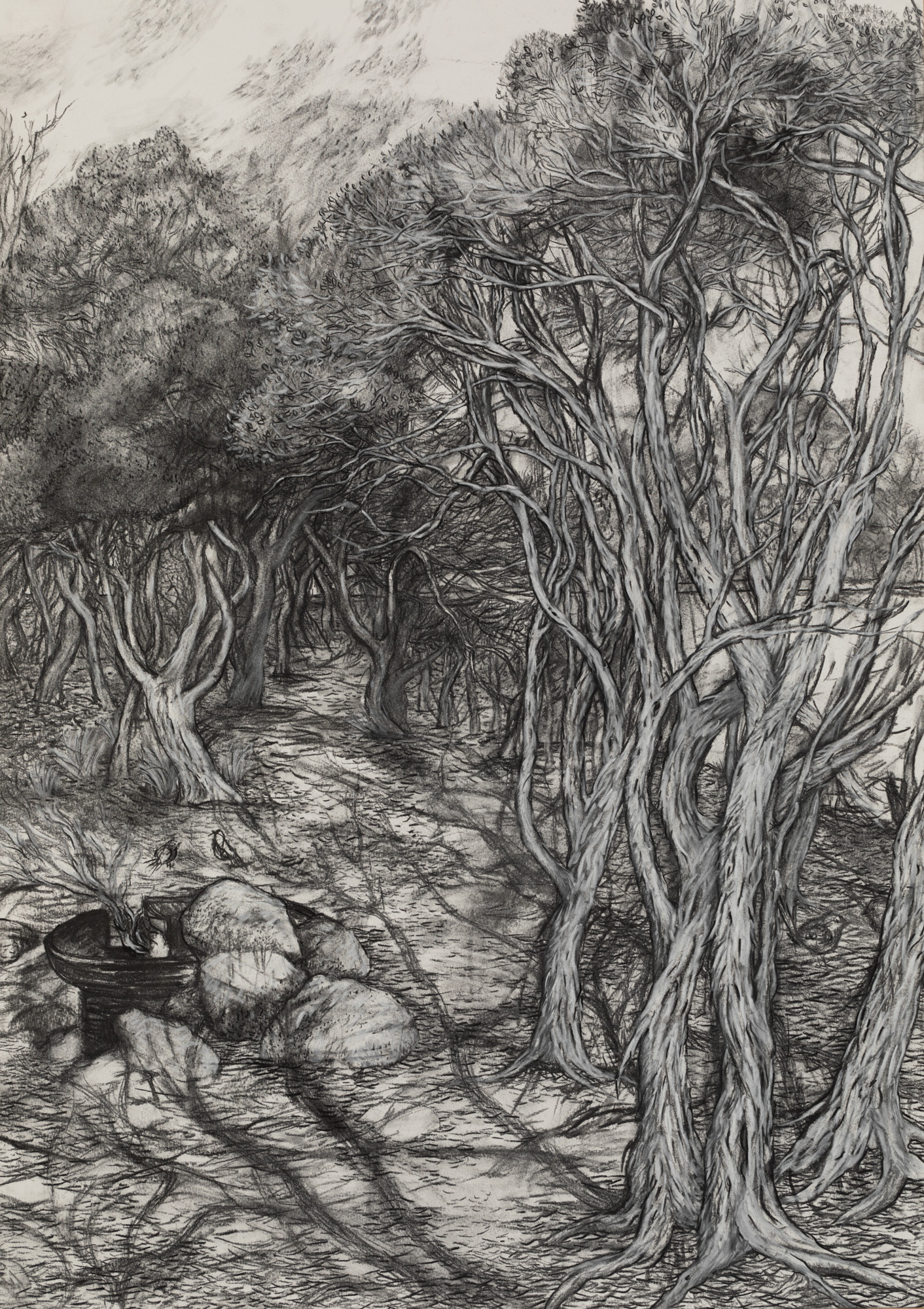 Campfire, birds, ti trees and lagoon