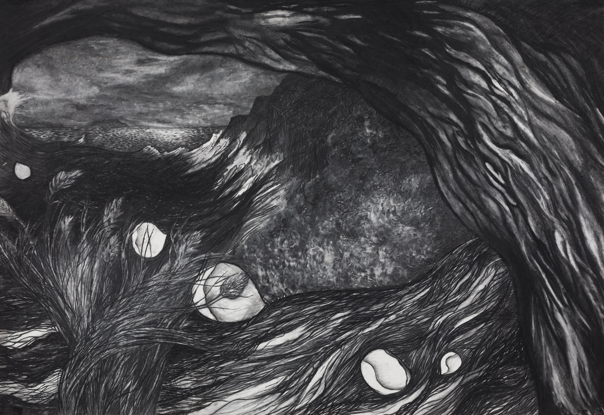 Textures of wood, creek, ocean and sky. Floating petals.