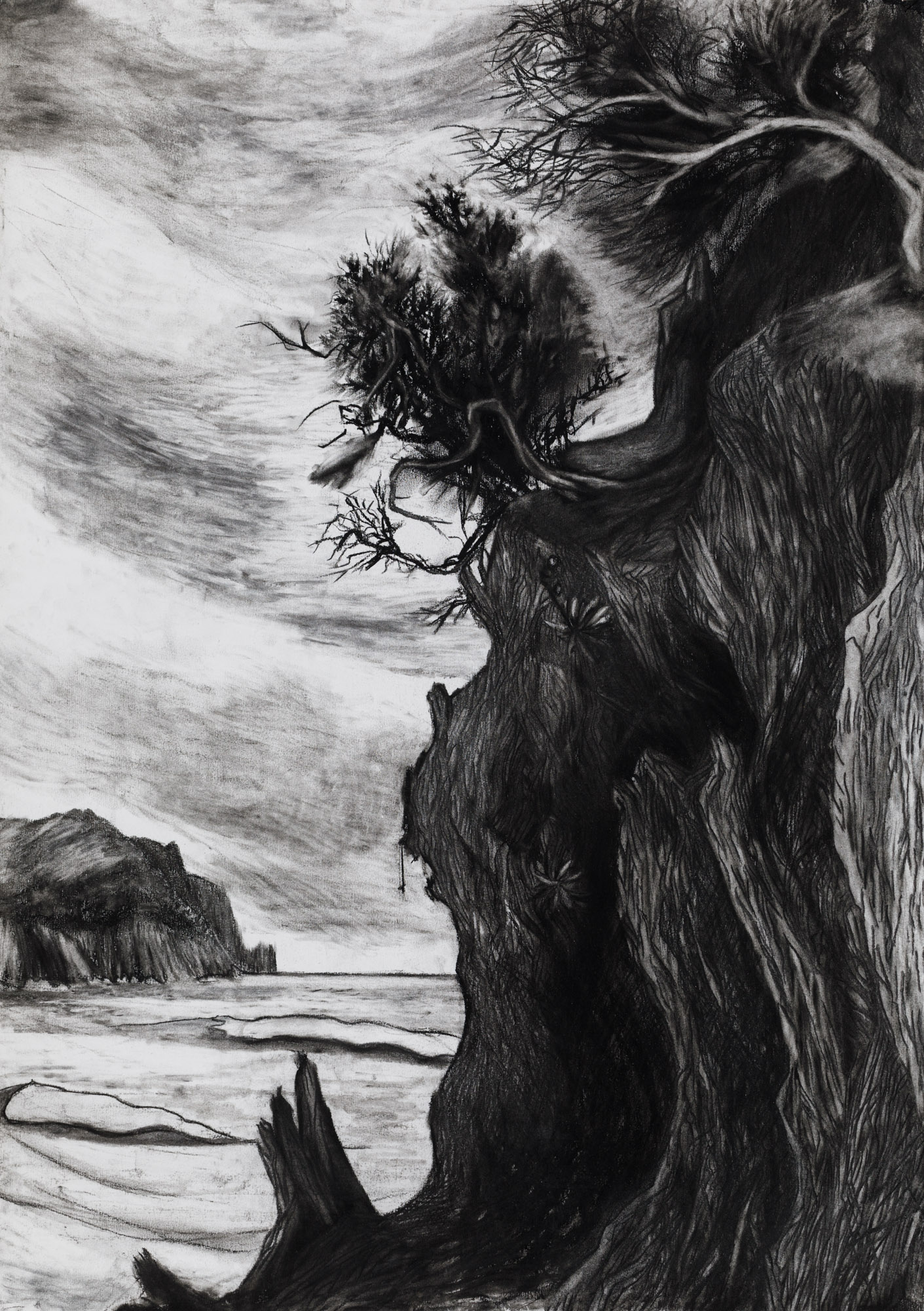 Dark rocks, tenacious trees, calm sea and sky.