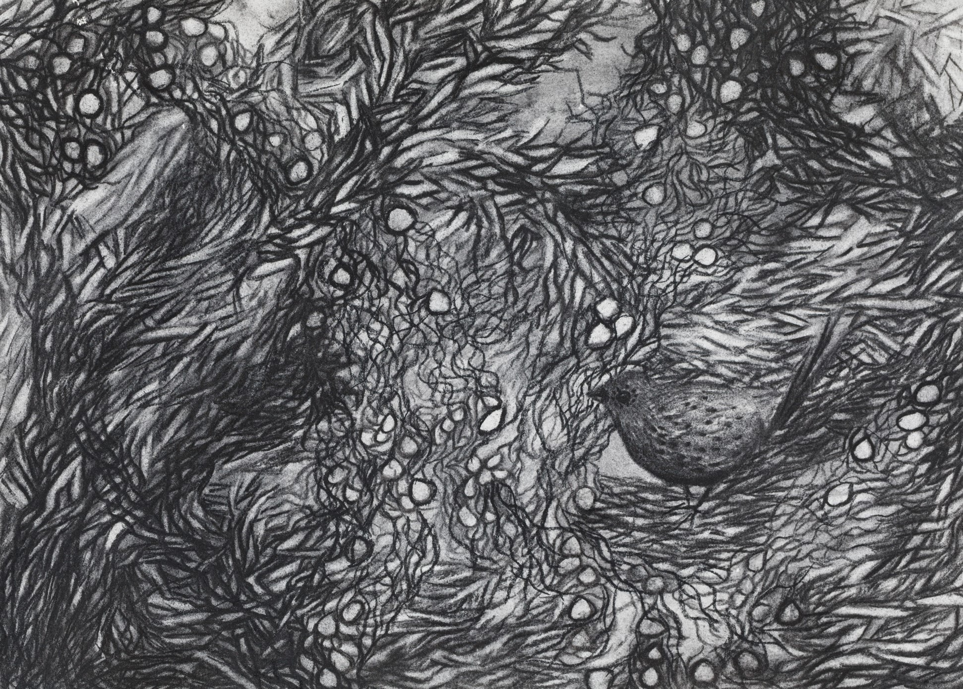 A small bird hidden in flowering scrub.