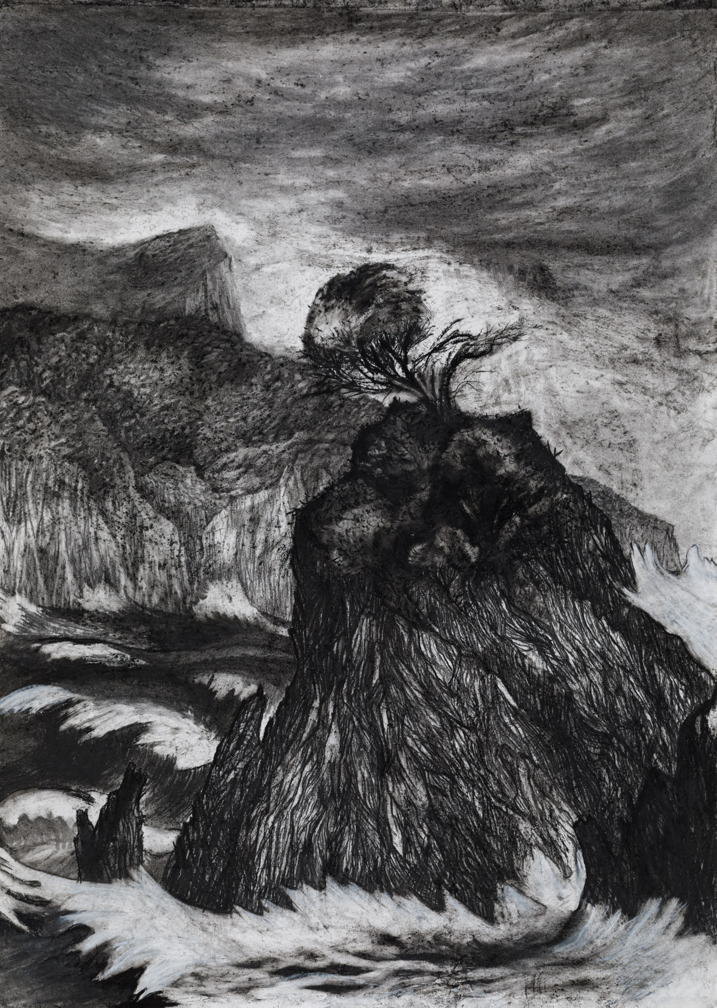 Waves and wind battered the cliffs; a windswept tree on a rocky outcrop.